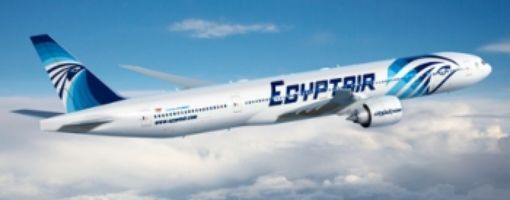 EgyptAir: 195 passengers survive airport accident in Cairo