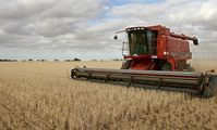 Russia to reschedule wheat contracts with Egypt, despite grain exports ban