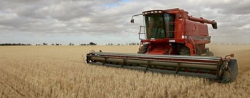Russia to reschedule wheat contracts with Egypt, despite grain exports ban