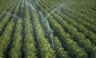 Egypt to open 3 mega irrigation projects