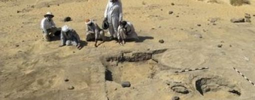 Egypt discovers 3500 year-old oasis trading post.