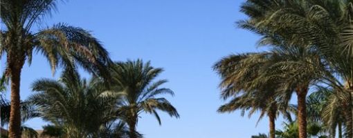 Hurghada stakeholders fear more oil spills